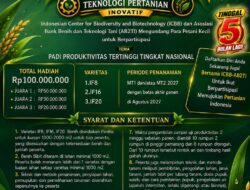 ICBB dan AB2TI Ajak Petani Kecil Ikut Lomba Padi, Pendaftaran Gratis hingga 21 Februari 2027